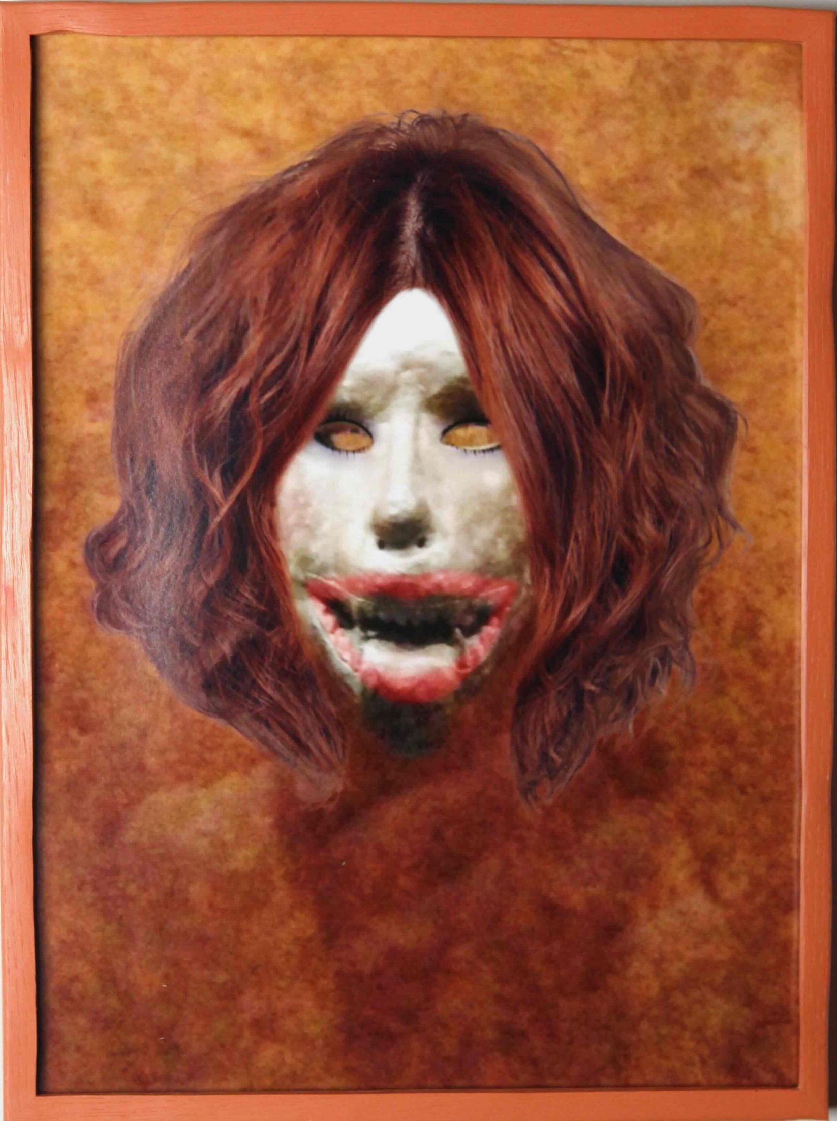 Perfect 365, Digital Print with artist frame, 2015